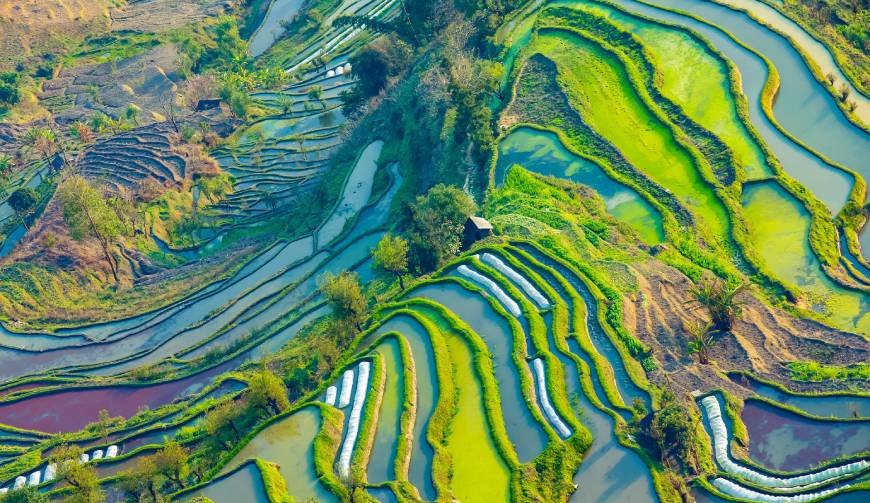 走进邛崃TVC拍摄：解锁本地化场景与创意镜头的完美融合